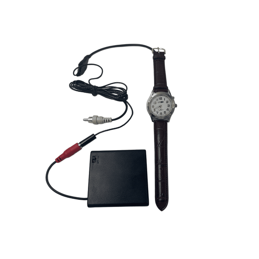professional covert wristwatch surveillance camera