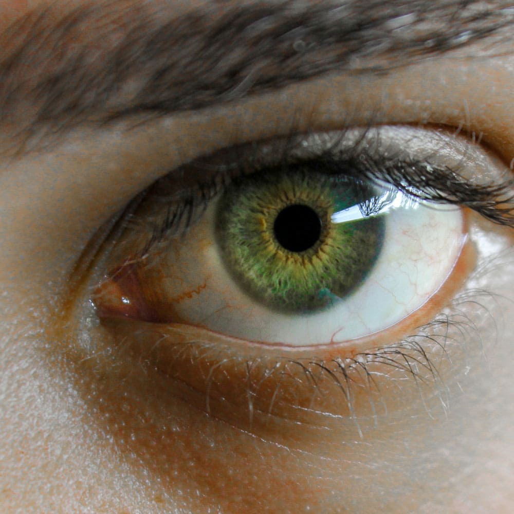 Why Do Humans Have No Night Vision? - SSS Corp.