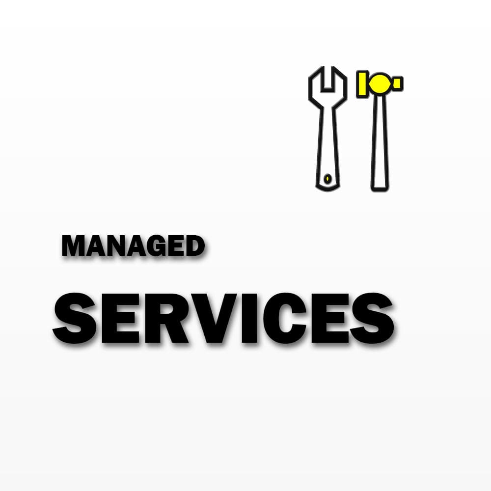 Professional Services - Surveillance Safety & Privacy Support Services - SSS Corp.