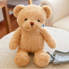 Stuffed Teddy Bear Nanny Camera with Voice Recording and Live Viewing for Child Safety