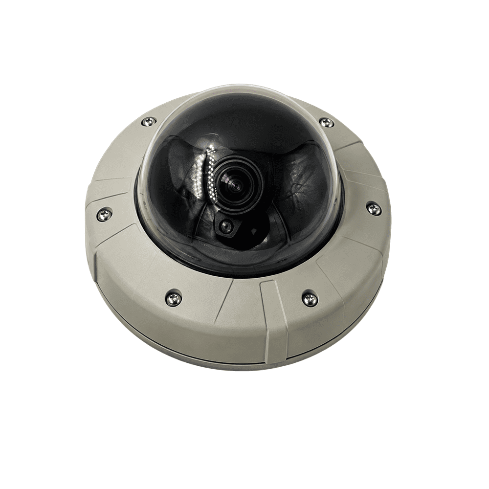 Professional analog dome camera with auto iris lens