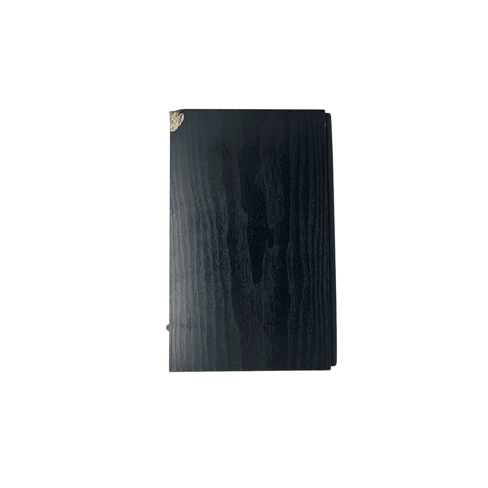 covert speaker hidden camera with audio setup