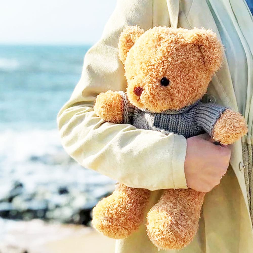 Stuffed Teddy Bear Nanny Camera with Voice Recording and Live Viewing for Child Safety - SSS Corp.# - variant_sku# - Suffed teddy bear nanny camera with live view