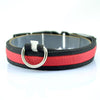 LED Dog Collar - Dog Walking Safe Collars for Pets - SSS Corp.# - variant_sku# - LED Pet Collar - Enhance Your Pet&#39;s Safety &amp; Yours with Visibility